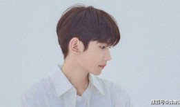 王源狗仔爆料视频大全最新,揭秘明星私生活瞬间