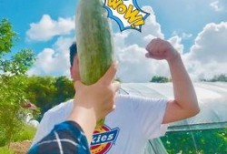 网红吃瓜的视频免费看,免费观看，揭秘娱乐圈幕后故事